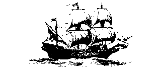 Island Global Co